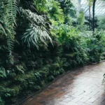 5 Ways Professional Landscaping Boosts Your Property Value